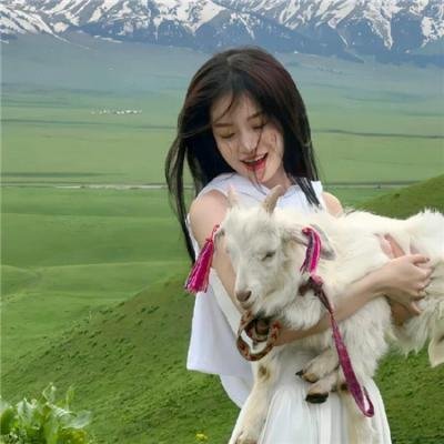 西尔玛
