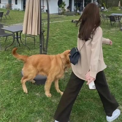 阿里与艾娃